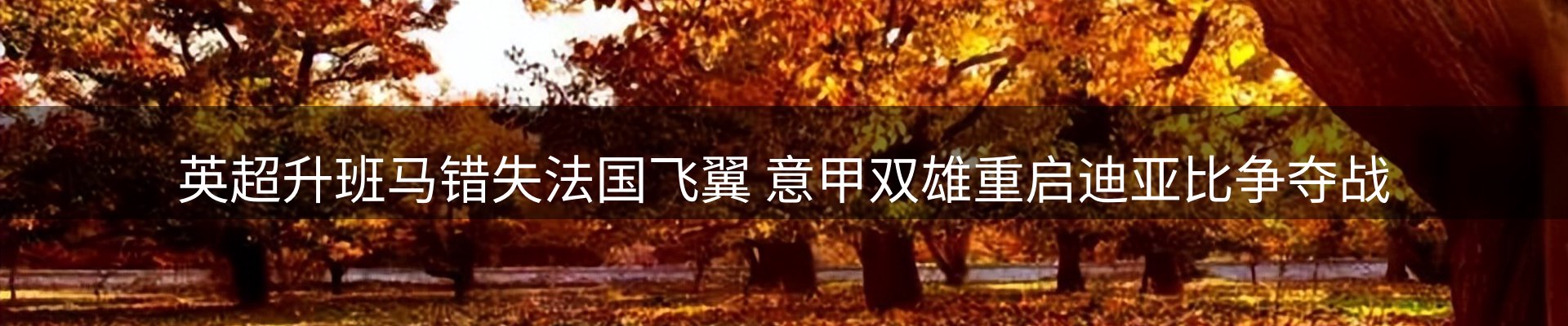 内页banner